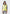 Primula Vest in Yellow